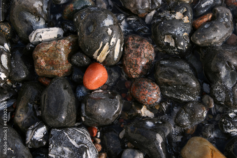 Closeup of colorful, wet stones, chalk and gravel on the steep coast of the Baltic Sea on Rügen, Germany Closeup of colorful, wet stones, chalk and gravel on the steep coast of the Baltic Sea on Rügen, Germany