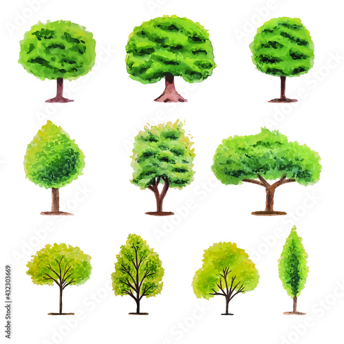 Collection of watercolor trees. White hand-drawn watercolor painting on a background