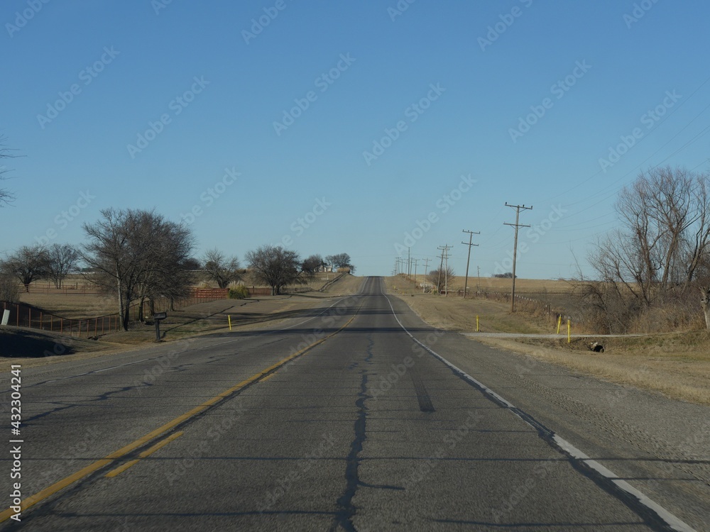 Straight road with leafless trees on the roadsides in winter.