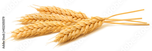 Wheat ears isolated on white background. Package design element with clipping path