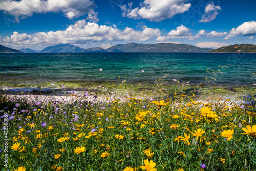 Beautiful beach with flowers in Greece. Summer landscape.