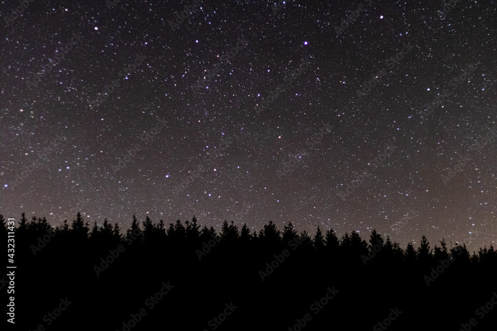 Obraz premium Sapins étoilés