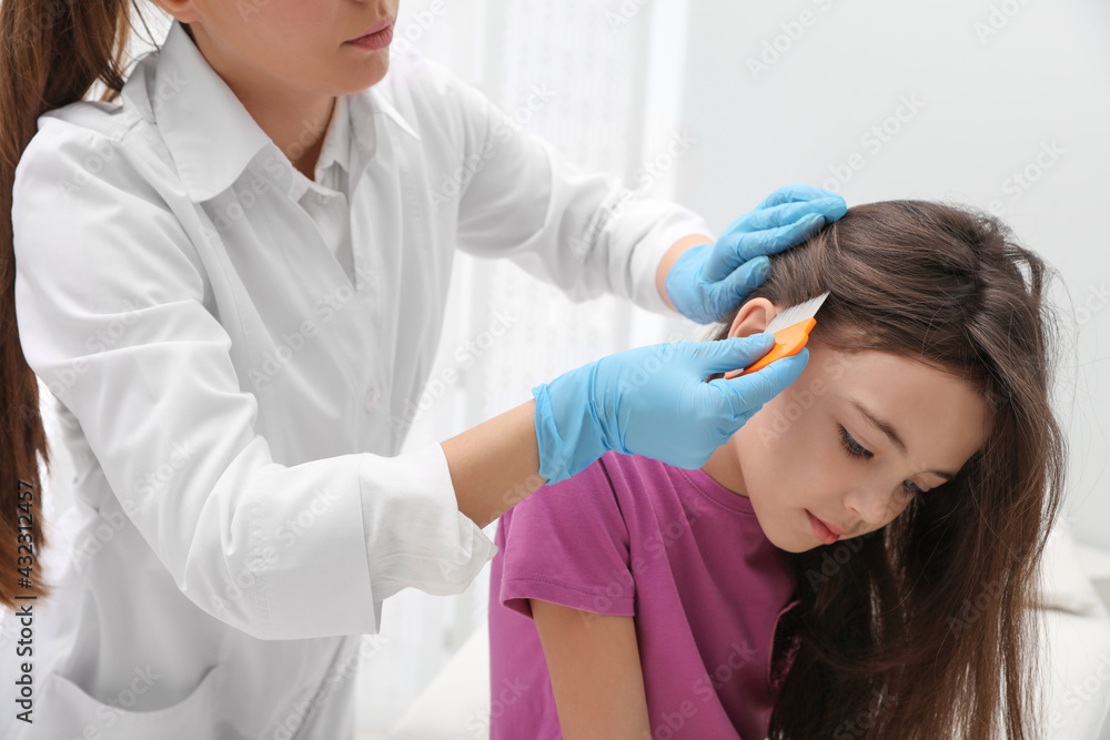 Doctor using nit comb on little girl's hair indoors. Anti lice treatment Doctor using nit comb on little girl's hair indoors. Anti lice treatment