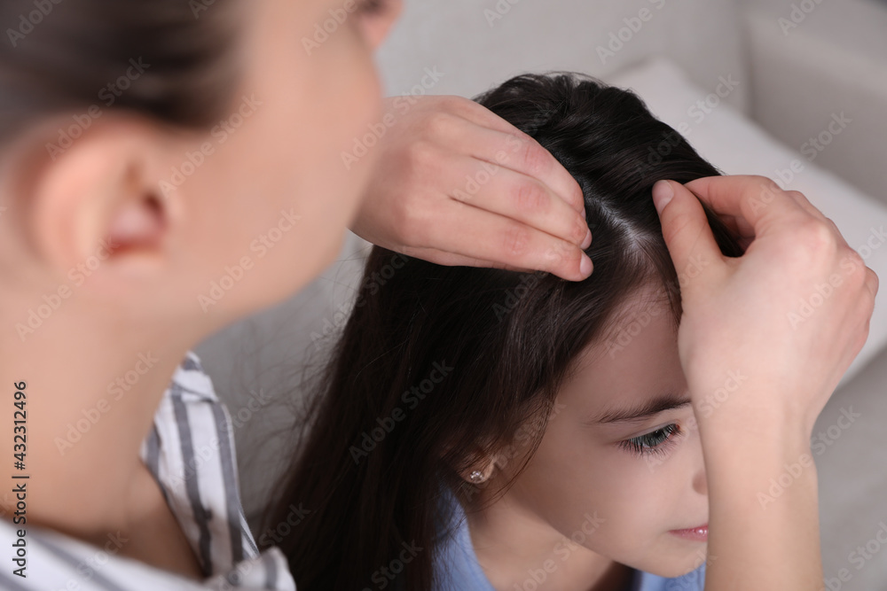 Naklejka premium Mother examining her daughter's hair indoors. Anti lice treatment