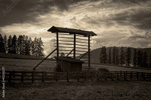 Alte hölzerne Almhütte mit einer Harpfe zum Trocknen von Heu und Getreide auf einer Bergwiese, Stil altes getöntes schwarzweiß Foto, Pustertal, Alpen, Südtirol, Italien photo