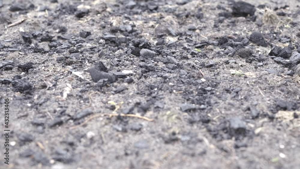 The soil is strewn with charcoal close-up The soil is strewn with charcoal close-up