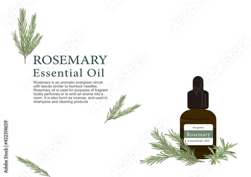 rosemary herb for essential oil extraction in medical treatment vector ep03
