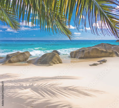 Cocotiers sur plage des Seychelles  © Unclesam