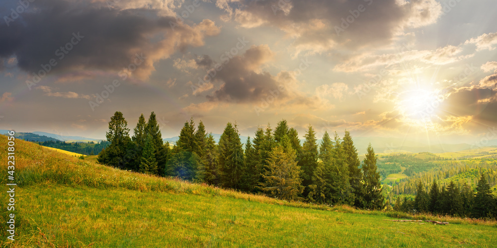 forest on the grassy meadow in mountains at sunset. beautiful countryside landscape in evening light. fluffy clouds on the blue sky above the distant borzhava ridge. summer adventures in carpathians forest on the grassy meadow in mountains at sunset. beautiful countryside landscape in evening light. fluffy clouds on the blue sky above the distant borzhava ridge. summer adventures in carpathians