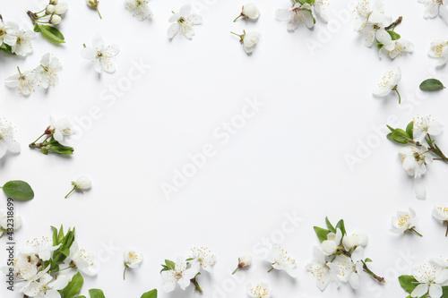 Frame of beautiful spring flowers on white background, flat lay. Space for text