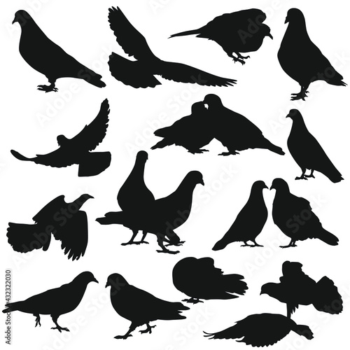 Dove Illustration Clip Art Design Scene. Pidgeon Collection Silhouettes Icon Vector Animal Bird. photo