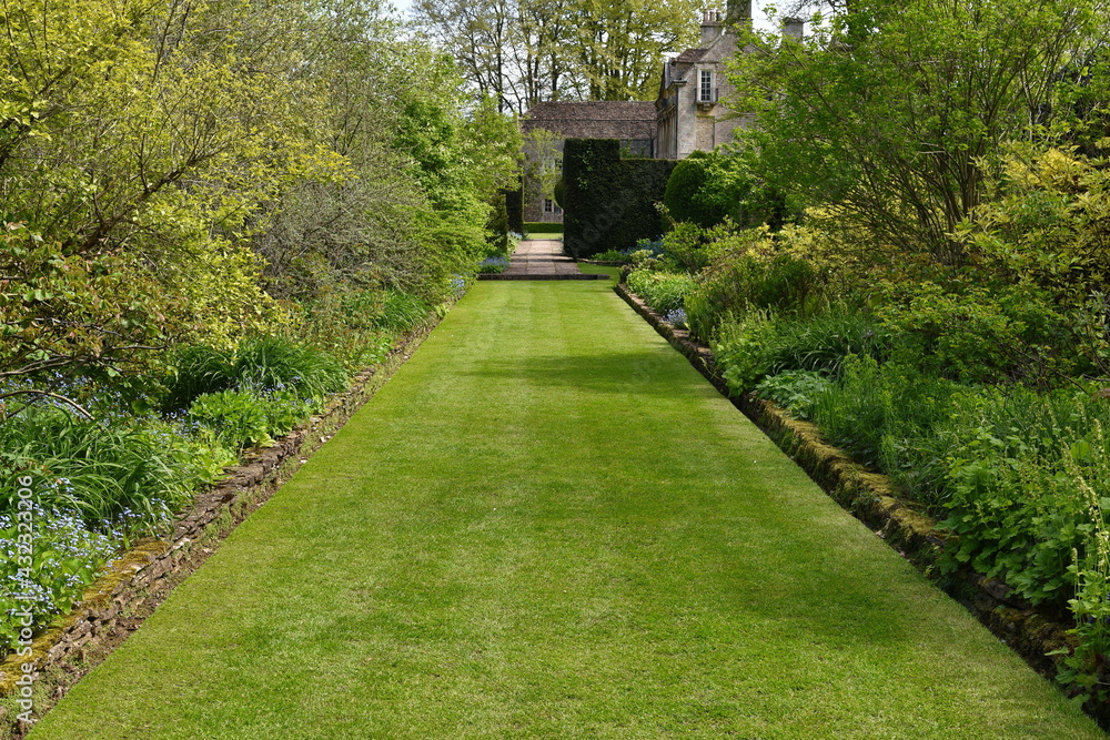 grass lawn path in the garden