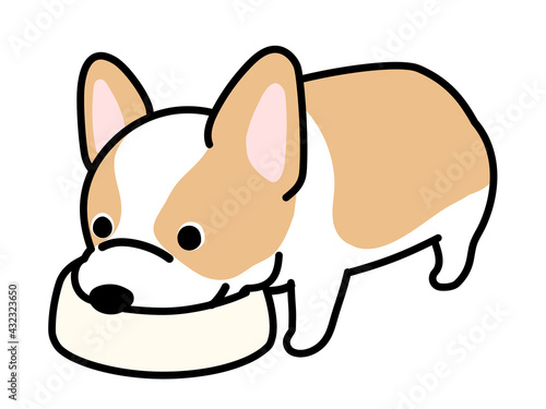 食事をしている犬　コーギー