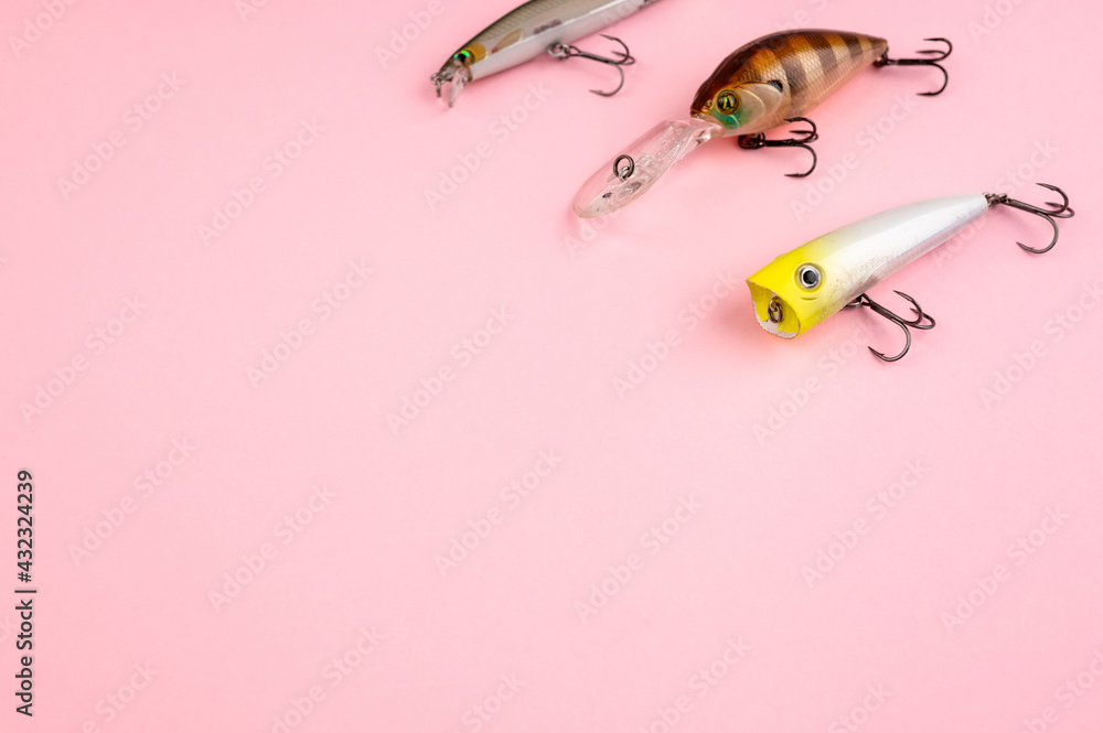 Bass fishing concept on the pink trendy background. Flat lay style. Fishing tackle, soft silicon lures, spinnerbait and wobblers. Bass fishing concept on the pink trendy background. Flat lay style. Fishing tackle, soft silicon lures, spinnerbait and wobblers.