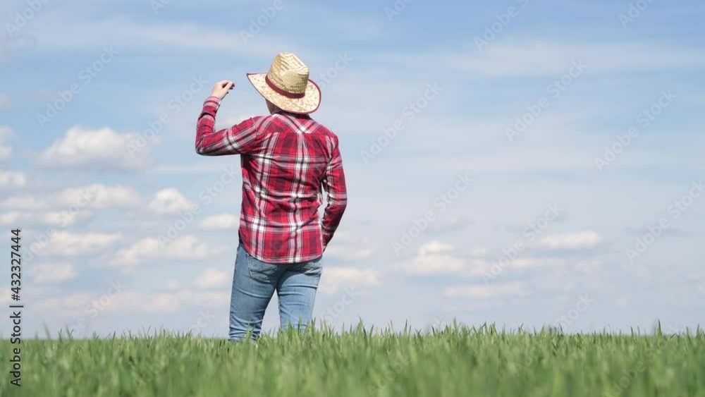 Female agronomist standing in green barley field and looking into distance, rear view Female agronomist standing in green barley field and looking into distance, rear view