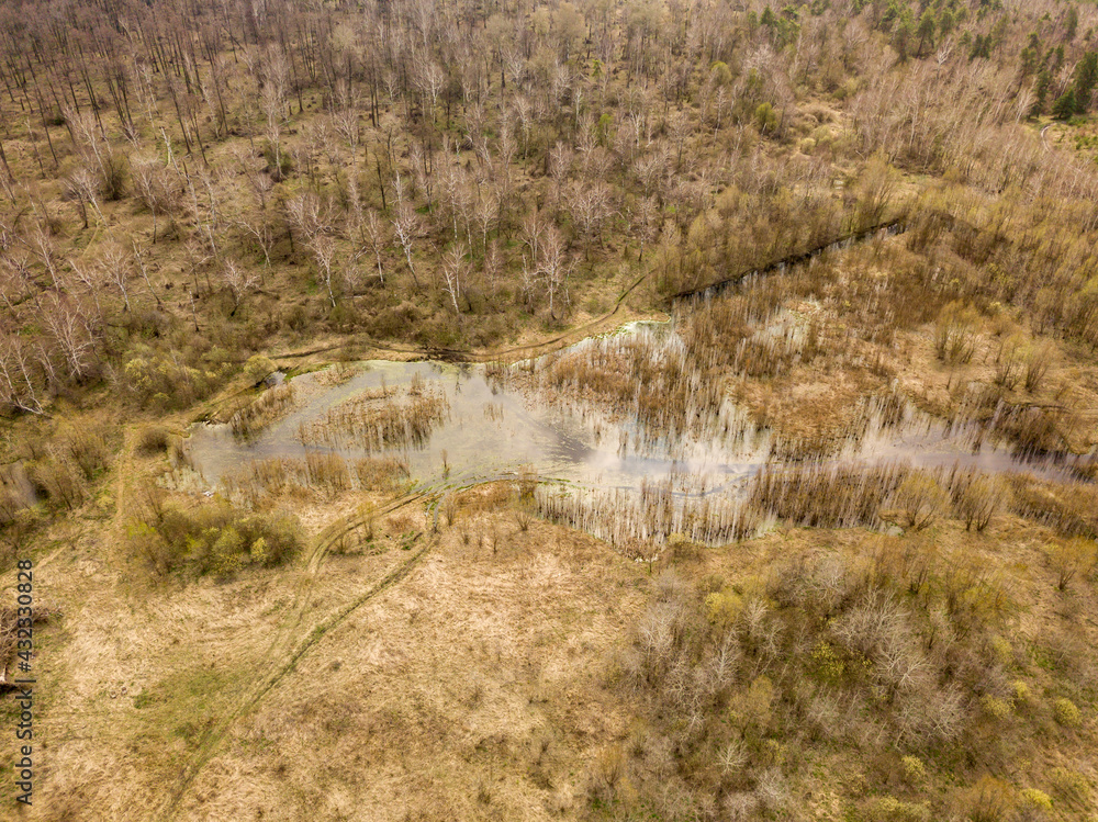 Forest in early spring. Aerial drone view.