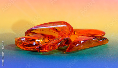 Amber made of yellow transparent fossil resin with insect inclusions photographed in the studio photo