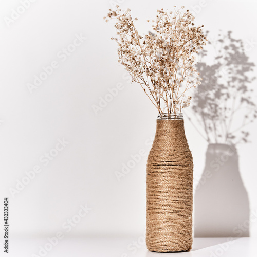 Plant in vase on the table
