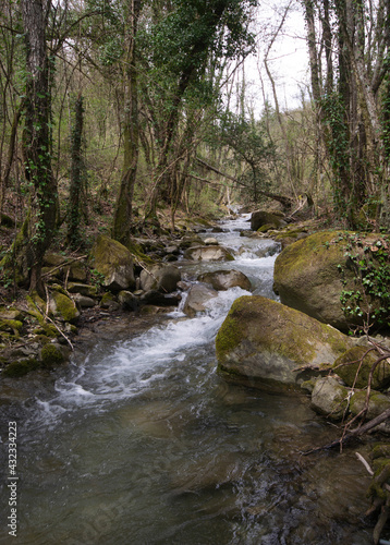 stream in the forest on early spring in Tyscany, Italy