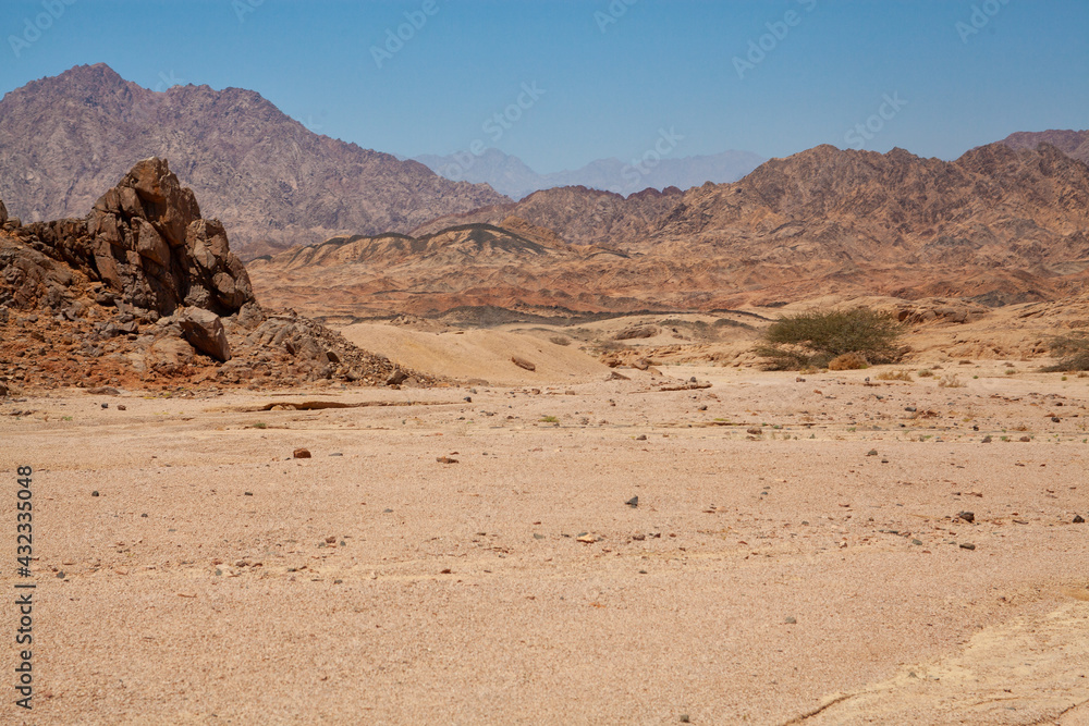 sand dunes in the desert