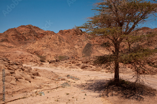 red rock canyon