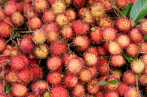 Fruit Exotique Vietnam