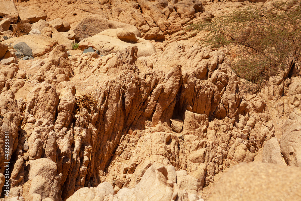 formations in the desert formations in the desert