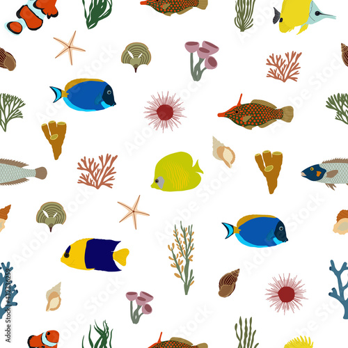 Seamless pattern with fish, seaweed, seashells, corals, starfish and sea urchins. Backgrounds and wallpapers for invitations, cards, fabrics, packaging, textiles, posters. Vector illustration.
