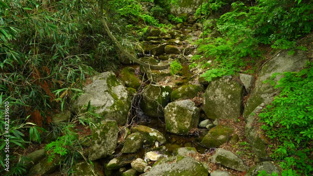 the flowing water of mountain stream the flowing water of mountain stream