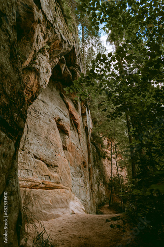 Hiking trail by the Licu and Langu sandstone cliffs by the Gauja river in Latvia photo