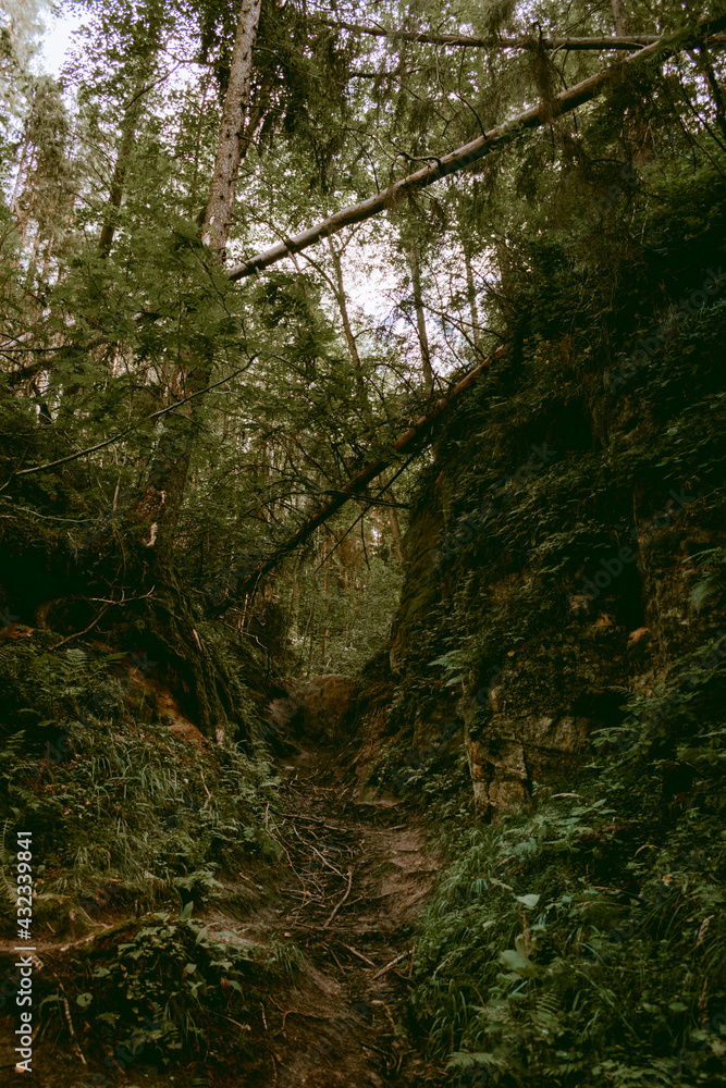 Sandstone formations at Licu and Langu cliffs in Latvia. Sandstone formations at Licu and Langu cliffs in Latvia.