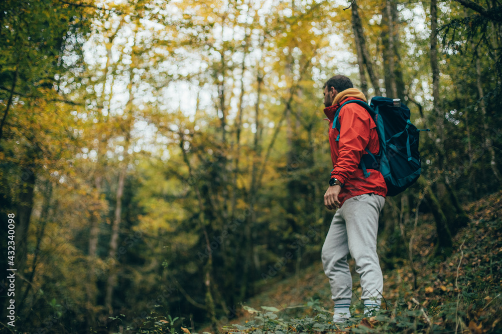 La forêt calme, aucun peuple