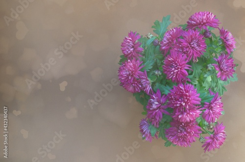 Fototapeta Naklejka Na Ścianę i Meble -  A bouquet of red chrysanthemums on a brown background. Photo of flowers from above. Bokeh Hearts effect