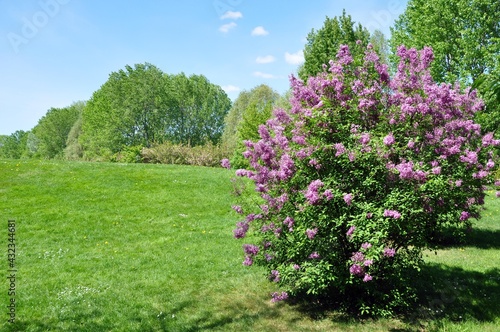 Wallpaper Mural Gärten der Welt Berlin Marzahn Torontodigital.ca