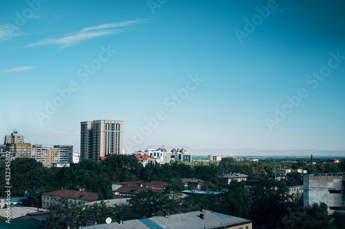 View from roof of city. Houses  high-rises and trees. Clear sunny day and blue sky.