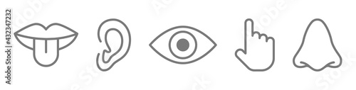 Sense sign set. Ear, eye, nose, mouth, tongue, hand line icons. Five senses hear, taste, smell, see, feel, sight, touch, look, vision. Sensory perception symbol. Vector illustration