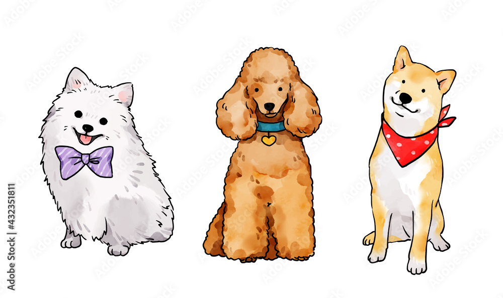 group of dogs group of dogs