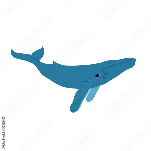 Whale. Ocean animal. Vector illustration. 