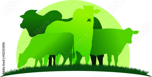boi ilustrados no verde campo