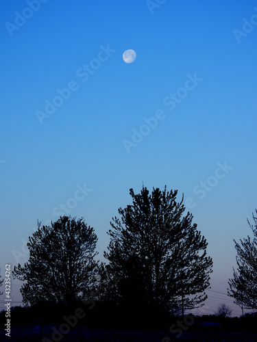 moon in the sky