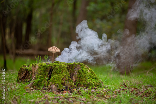 Smoke and mushroom