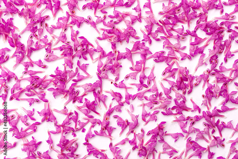 background of many small delicate pink spring flowers on white paper background of many small delicate pink spring flowers on white paper
