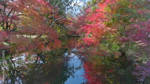 紅葉と川２