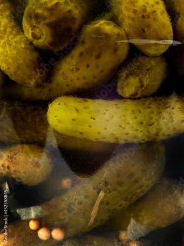 Pickled cucumbers on white backgroundPickled cucumbers in a glass jar. Background from cucumbers. photo