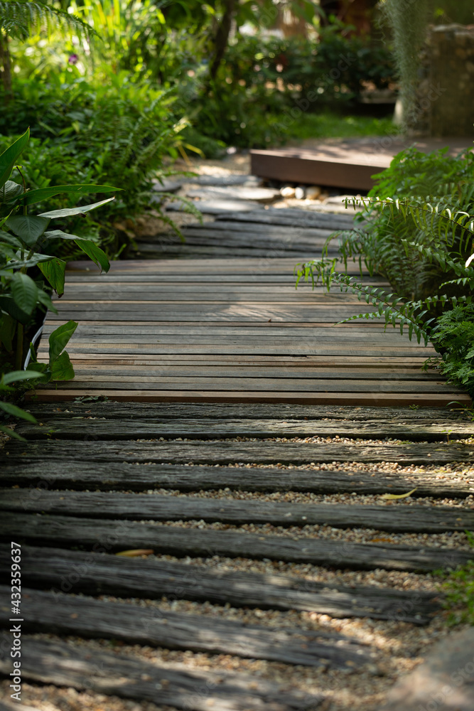 The garden path way in a shady atmosphere, selective focus.