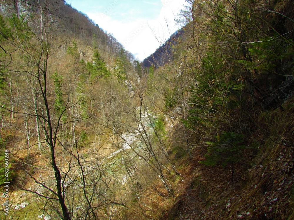 Iski vintgar gorge in Slovenia with steep slopes above the river covered in forest
