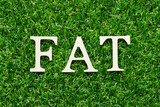 Wood alphabet letter in word FAT (Obesity or abbreviation of factory acceptance test, file allocation table) on green grass background