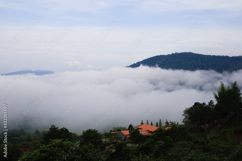 Foggy landscape on mountain ,travel natural background