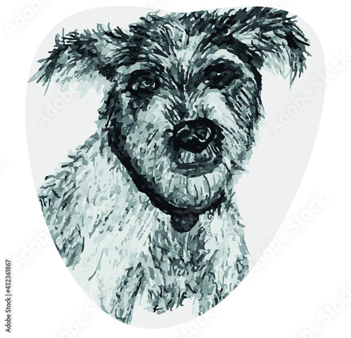 dog portrait illustration, wallpaper and background photo