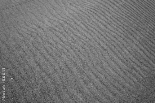 Grooves created by seeing in the desert sand of a beach dune. Black and white image